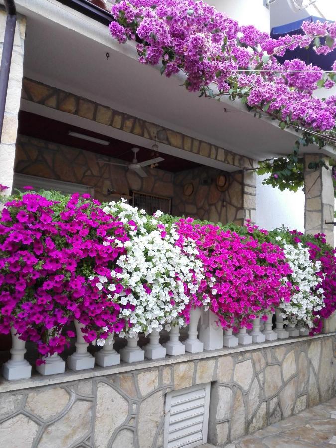 Apartments Zora نين المظهر الخارجي الصورة